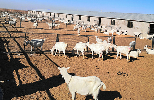 企業(yè)環(huán)境