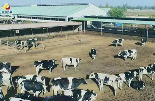 企業(yè)環(huán)境