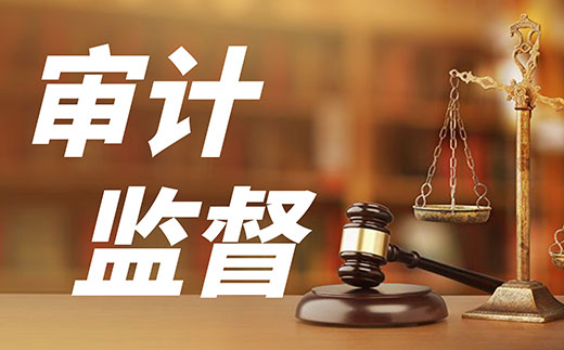 某省成立地方金融審計局和國有企業(yè)審計局 加強(qiáng)穿透式審計監(jiān)督