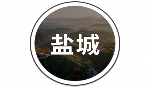   鹽城：設(shè)立30億的還貸過橋資金池、20億債務(wù)風(fēng)險化解周轉(zhuǎn)金