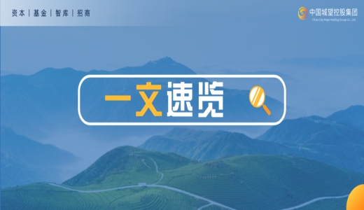 一文速覽丨防范債務(wù)兌付風(fēng)險(xiǎn)！償債備付金如何筑起“防護(hù)網(wǎng)”？
