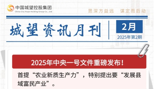 城望資訊2月刊丨中央一號(hào)文件重磅發(fā)布！全國(guó)首單數(shù)據(jù)資產(chǎn)作價(jià)入股落地？