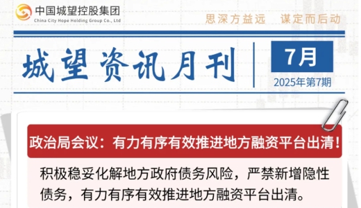 城望資訊7月刊丨有力有序有效推進地方融資平臺出清！