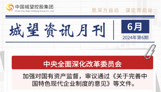 城望資訊6月刊丨城投市場化業(yè)務經(jīng)營啟示錄