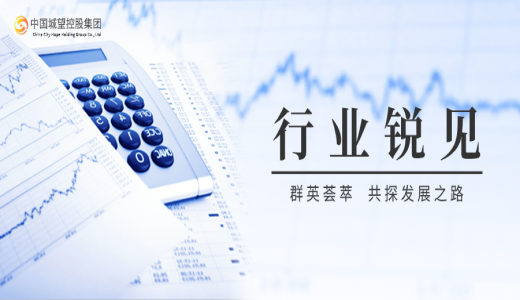 銳見丨年內(nèi)實(shí)現(xiàn)“新增”債券的“地方主體”有何特點(diǎn)？