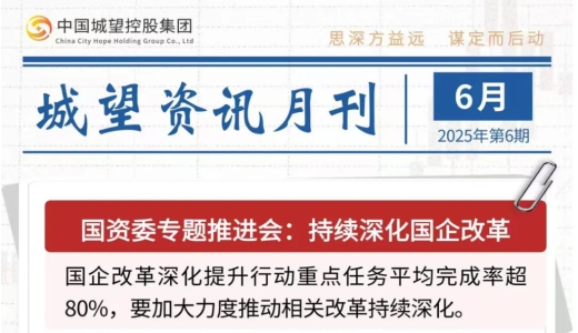 城望資訊6月刊丨2028年底前隱性債務“清零”！