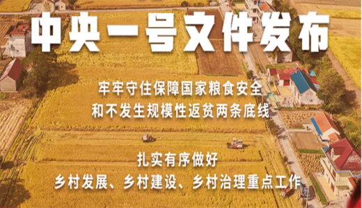 【2022年中央一號文件】穩(wěn)住農業(yè)基本盤 接續(xù)全面推進鄉(xiāng)村振興
