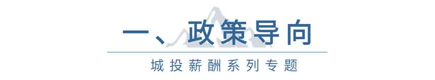 城投薪酬系列1 城投薪酬系列1