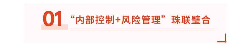 國企內(nèi)控管理標(biāo)題